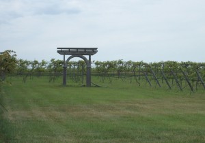 Nebraska vineyard